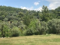 Fethiye saklıkentte 35 dönüm arazi 18