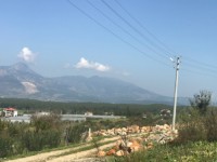 Antalya kaş Saklıkent bölgesinde müstakil sıfır ev 11