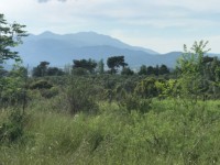 Fethiye saklıkette 74 dönüm organik bahçe 29