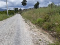 Saklıkette 27250 metre zeytinlik 13