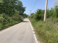 Köyceğizde çiflik ve bahçe 18