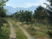 Fethiye saklıkette 74 dönüm organik bahçe 25