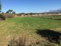 Saklıkent merkezde zeytinlik 3