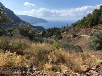 Faralya kabakta Deniz manzaralı 2500 Metre arsa