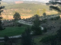 Seydikemer Seydilerde 6423 metre zeytinlik 7