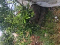 Saklıkentte müstakil iki katlı ev 12