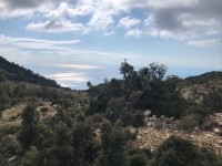 Ölüdeniz KaraağAç ta Deniz manzaralı arsa 3