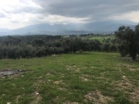 Saklıkette anayola sıfır 3206 metre arsa 4