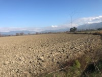 Saklıkent güneşlide 16 dönüm  arazi 3