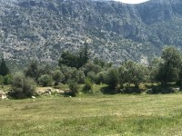 Fethiye saklıkentte 35 dönüm arazi 19