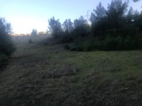 Seydikemer Seydilerde 6423 metre zeytinlik 14