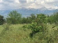 Fethiye saklıkette 74 dönüm organik bahçe 30