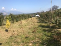 Antalya kaş Saklıkent bölgesinde müstakil sıfır ev 34