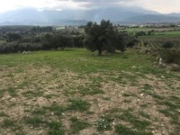Fethiye saklıkette manzaralı 2078 metre arsa 4
