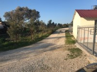 Fethiye saklkentte 3400 metre içinde zeytinlik 17