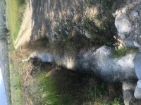 Fethiye saklıkentte 35 dönüm arazi 29