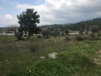 Saklıkette anayola sıfır 3206 metre arsa 8