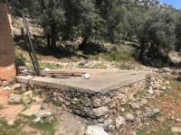 Fethiye Karadere ünlü Patara pilajına yakın 78 dönüm Zeytilik 9